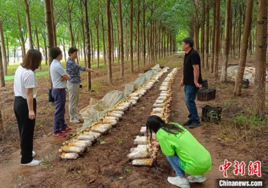 首都高校百支团队奔赴22个省份119个乡村助力乡村振兴